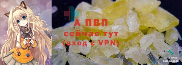 ешки Белокуриха