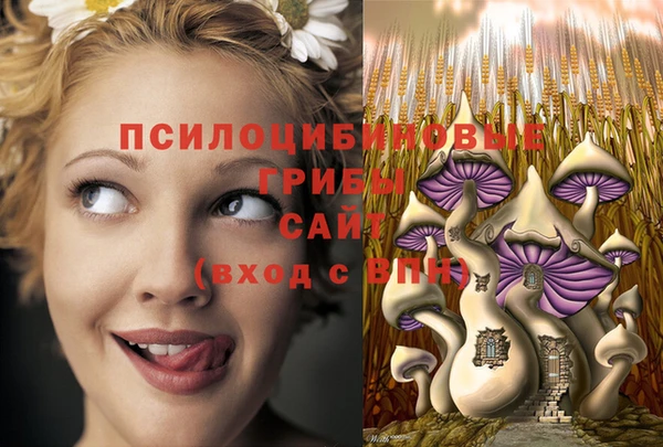 ешки Белокуриха