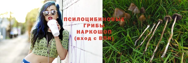 ешки Белокуриха